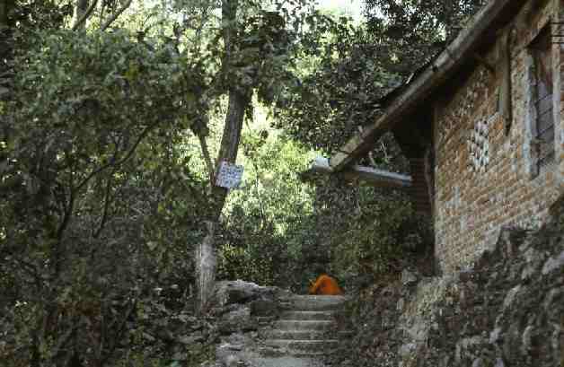 New Age Book: Yoga Guru Sri Tat Wale Baba - Rishi of the Himalayas.