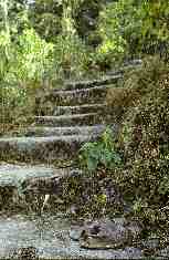 Stairs to Sri Tat Wale Baba Ashram.