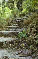 Stairs to Sri Tat Wale Baba Ashram.